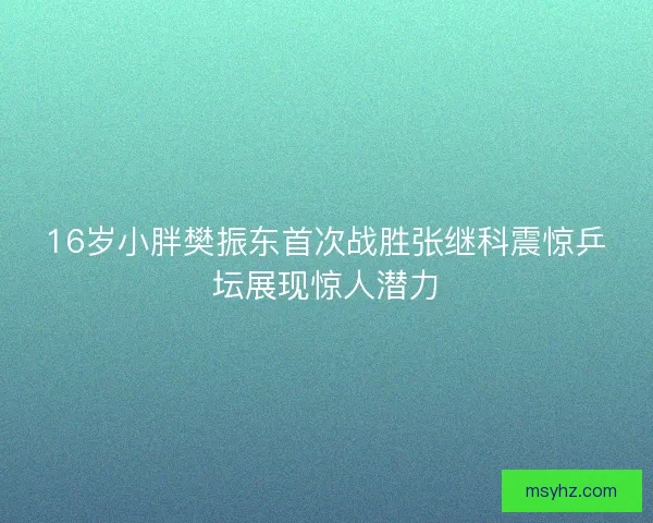 16岁小胖樊振东首次战胜张继科震惊乒坛展现惊人潜力 16岁小胖樊振东首次战胜张继科震惊乒坛展现惊人潜力