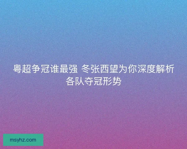 粤超争冠谁最强 冬张西望为你深度解析各队夺冠形势