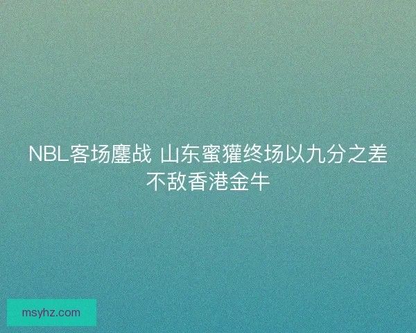 NBL客场鏖战 山东蜜獾终场以九分之差不敌香港金牛 NBL客场鏖战 山东蜜獾终场以九分之差不敌香港金牛